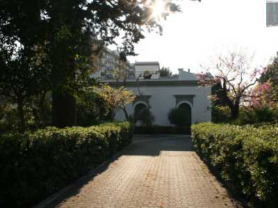 Foto 12. L�ultima struttura di via Amendola, molto pi� piccola rispetto alle precedenti, si trova sulla destra: � villa Maria. � semplice e su un solo piano, di colore bianco e circondata da numerose piante